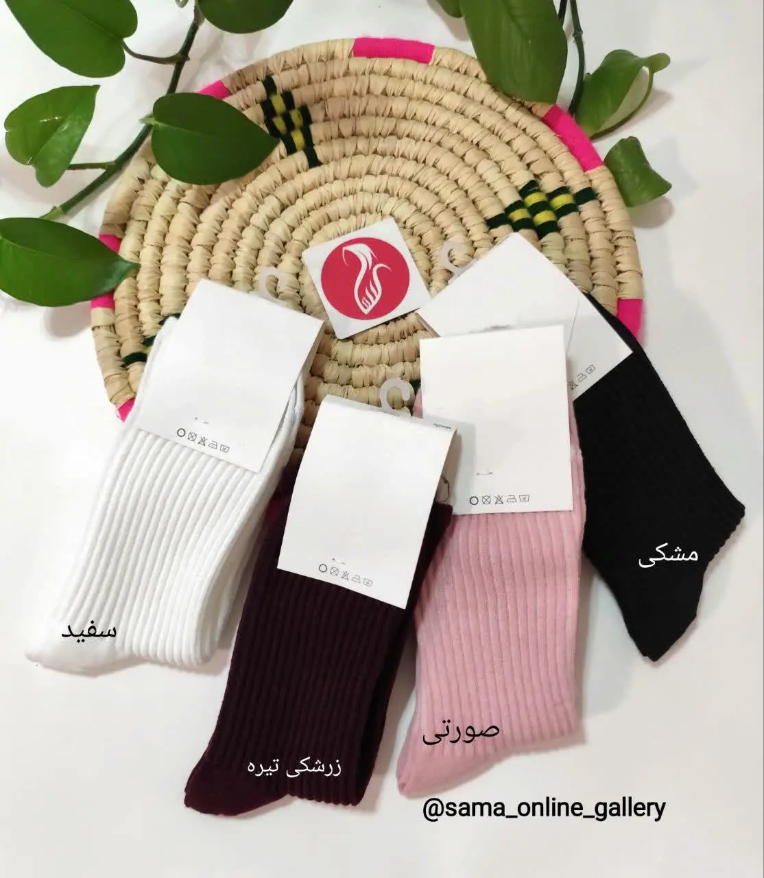 🍁🍁🍁🍁🍁🍁🍁🍁🍁🍁
