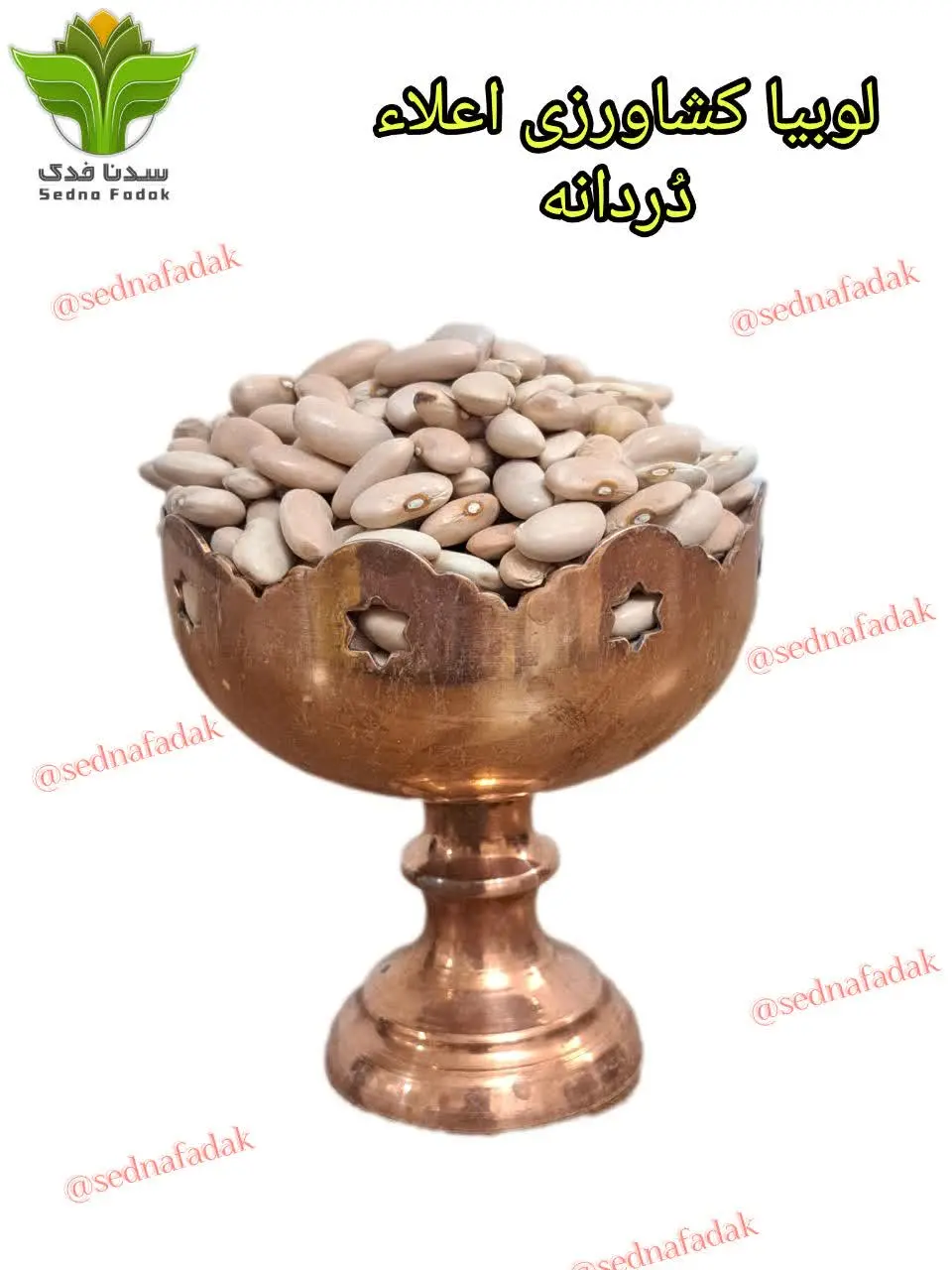 🫘 لوبیا کشاورزی (کپسولی) 🫘
