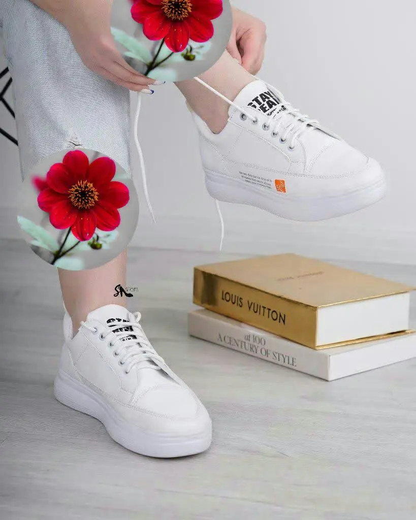 ونس جدید تولید اردبیل