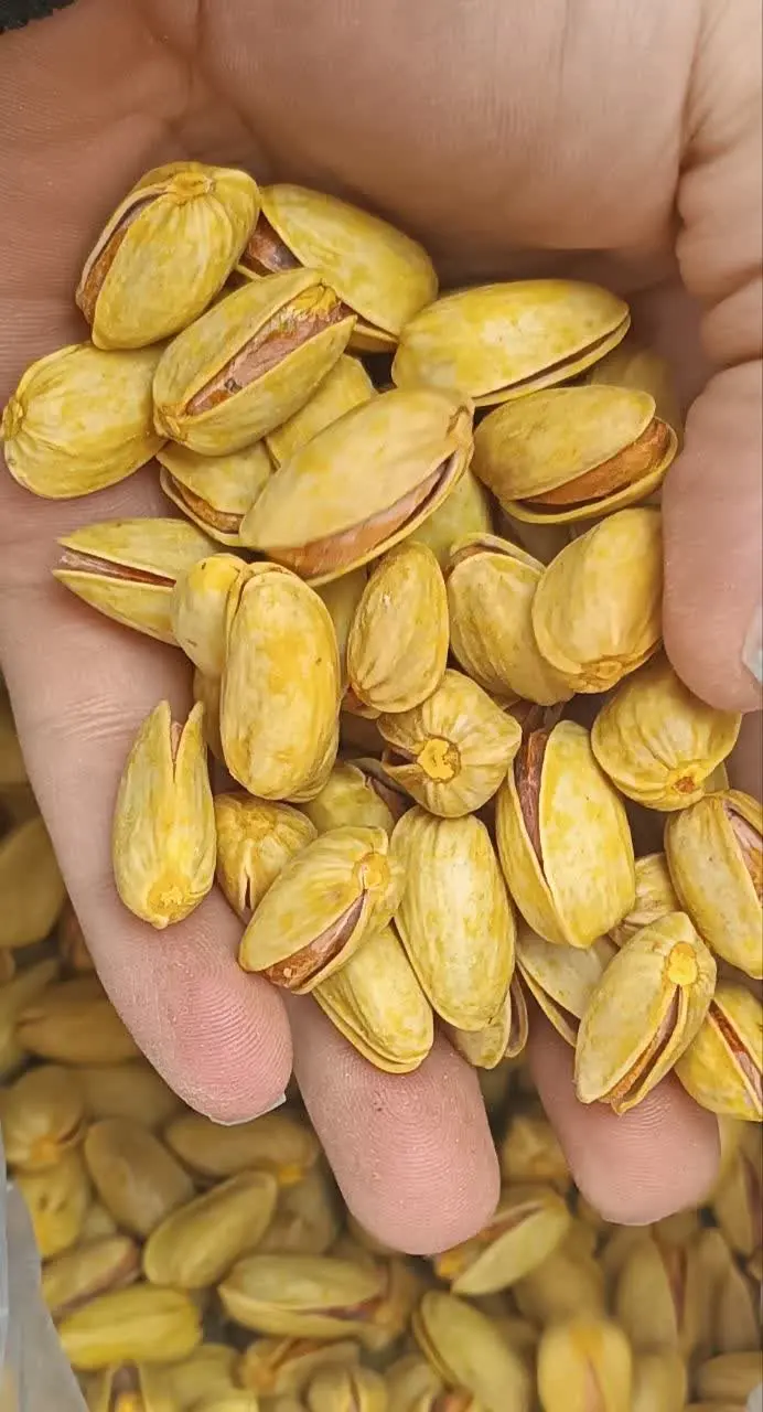 شارژ پسته عباسعلی دامغان
