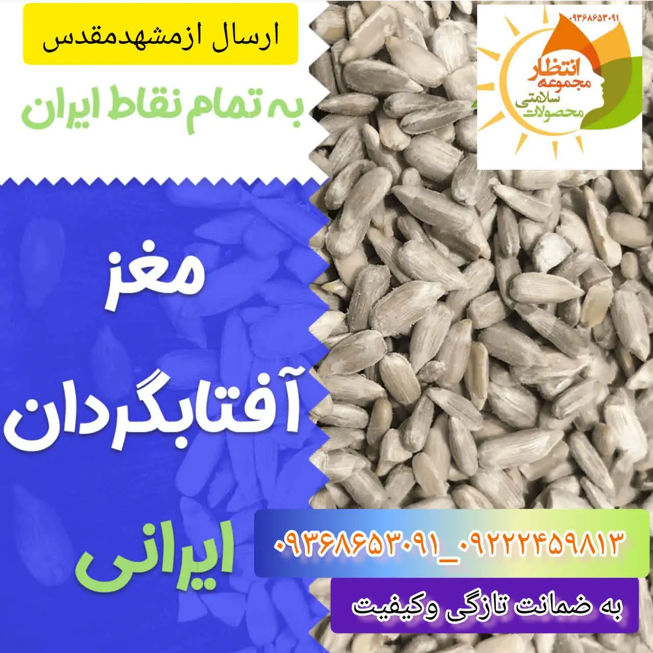 🌻مغزتخمه آفتاب گردان🌻
