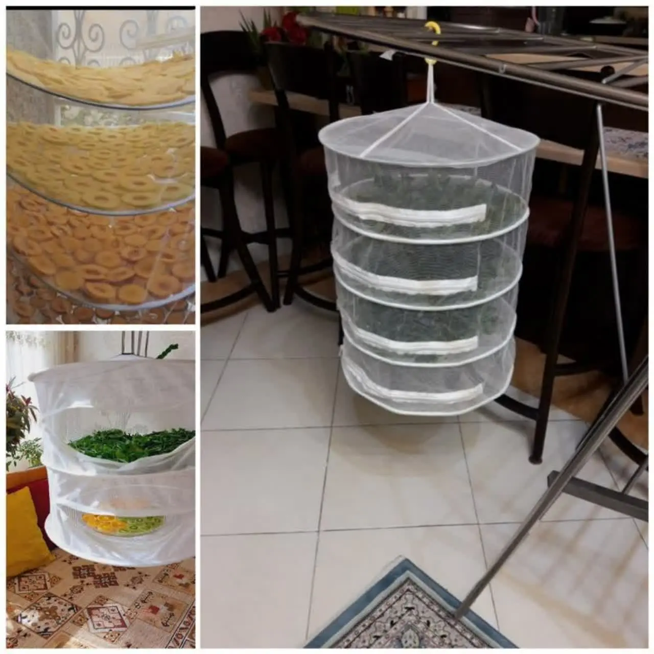 🌱🌸🌱🌸🌱🌸🌱🌸🌱🌸
