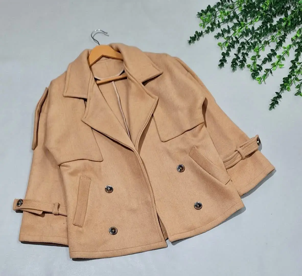 پالتو ستاره