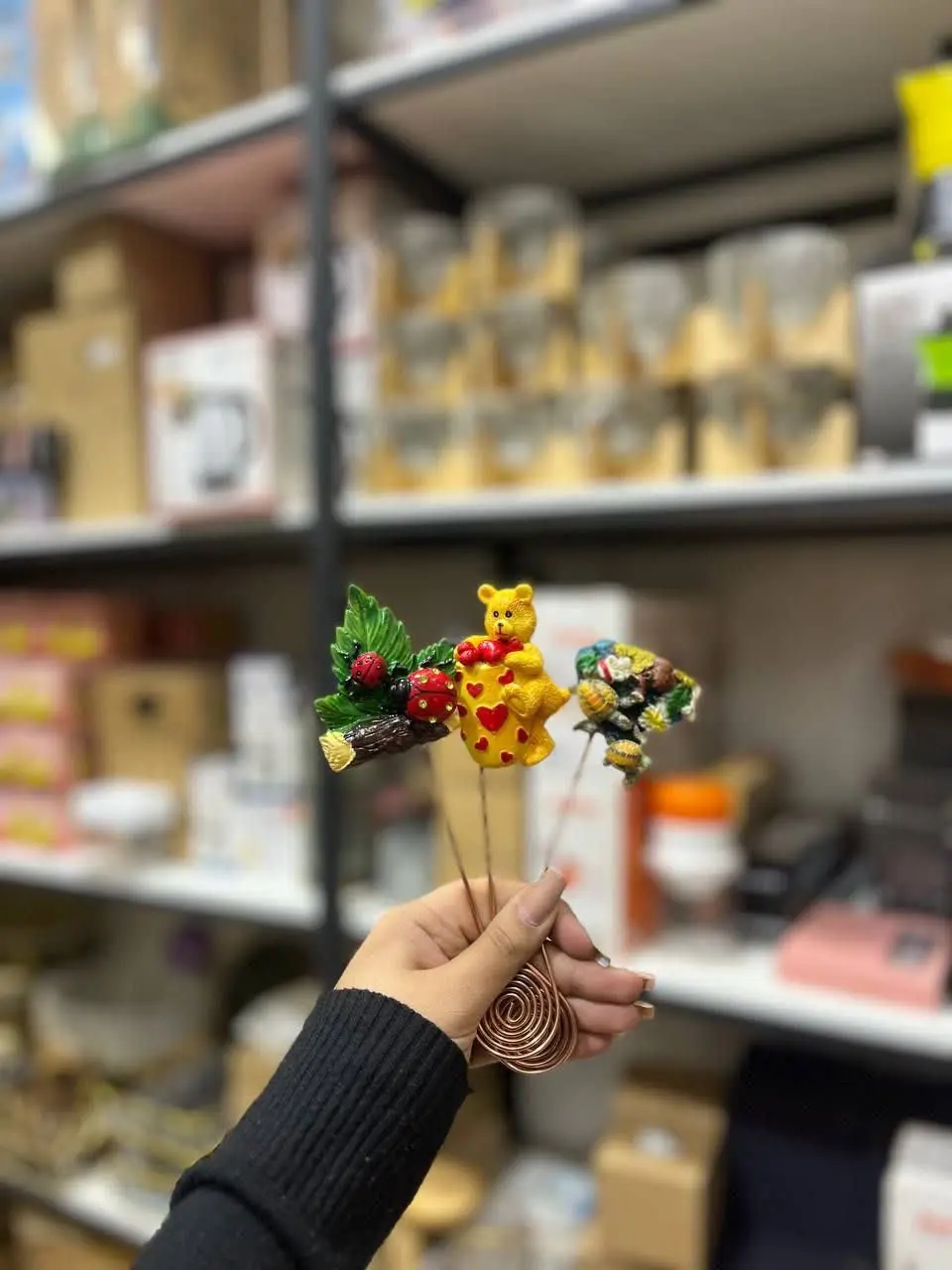 جینگلی مگولی😂
