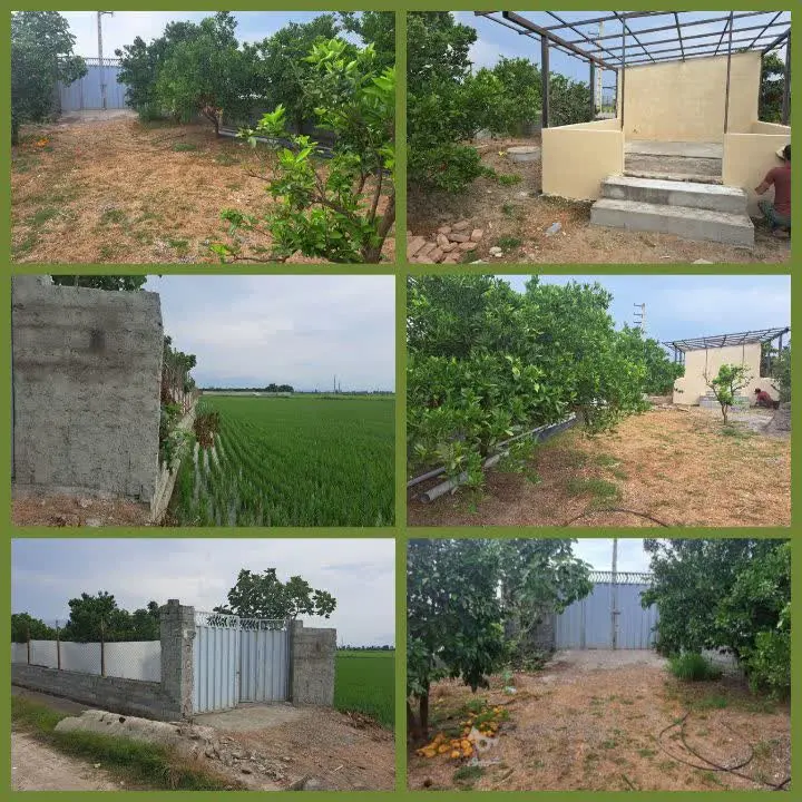 ۳۴۰ متر باغ 
