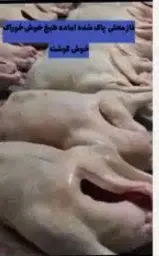 غازهای محلی این سری اندازه بره هستن
