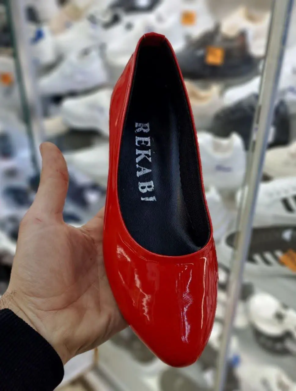 کالج جدید دخترانه 
