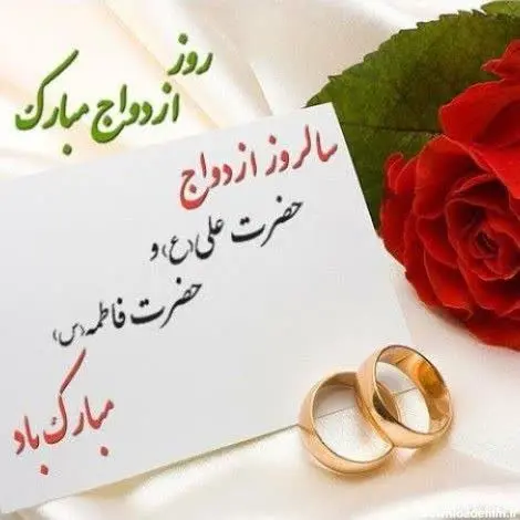 🌸🌸🌸🌸🌸🌸🌸🌸🌸🌸
