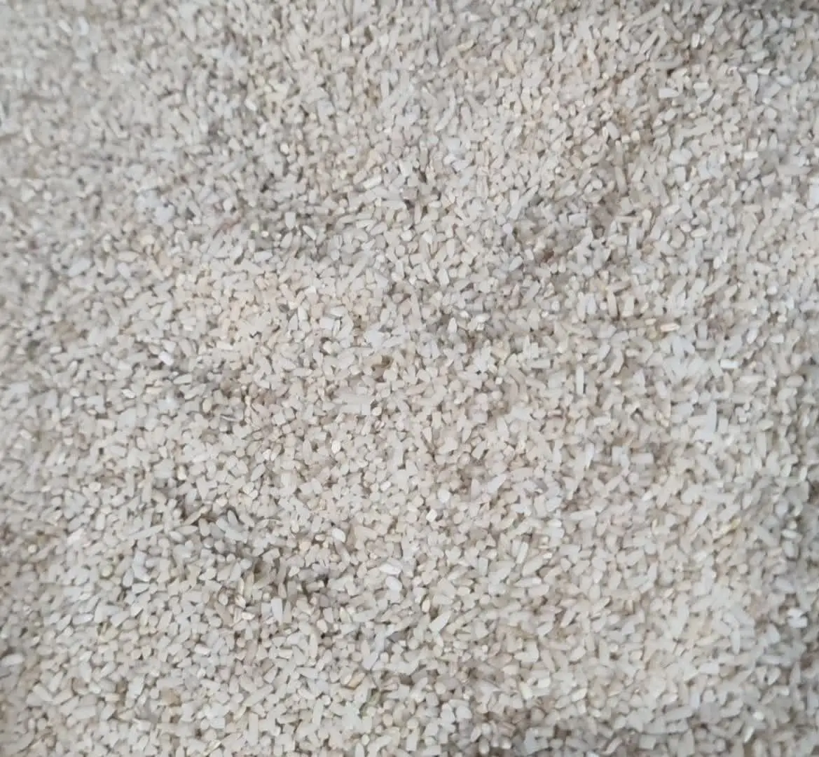 نیمدانه کلات نادری
