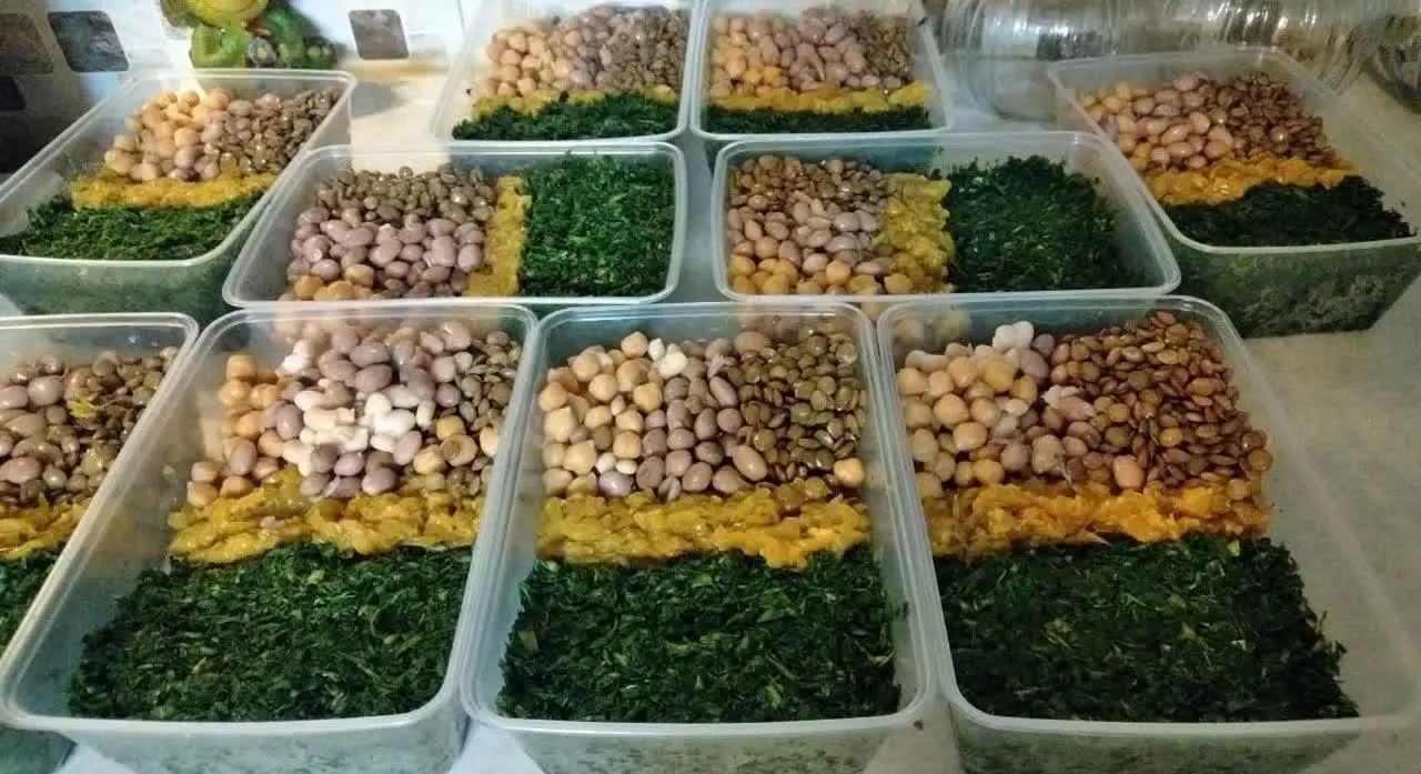 پک کامل آش رشته 
