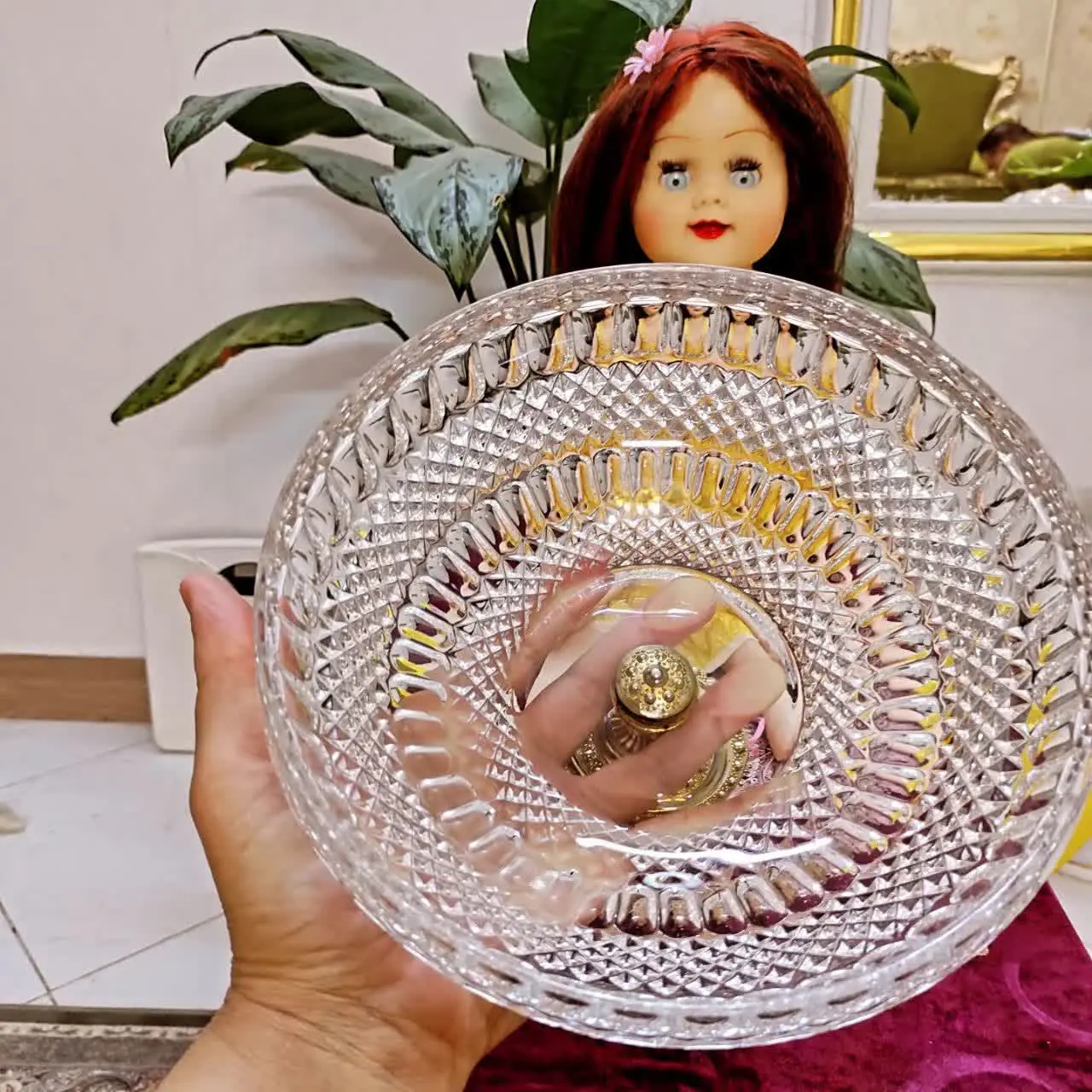 میوه خوری، اجیلخوری
