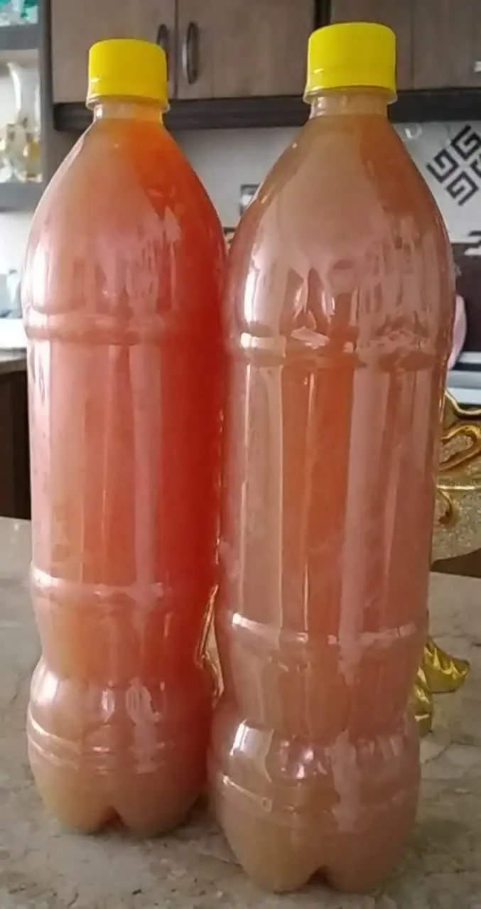 آبغوره درجه یک خونگی خوش طعم
