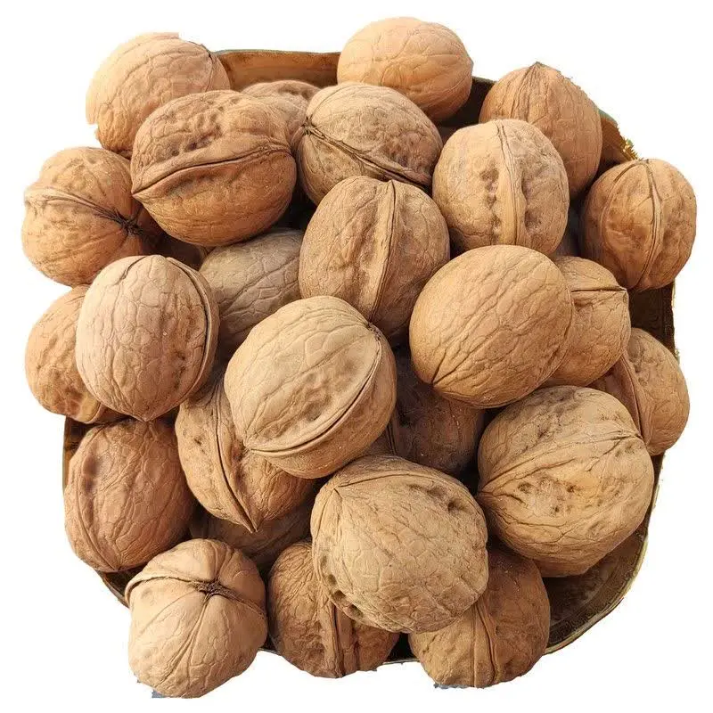 ♻️گردو خارجی درشت 
