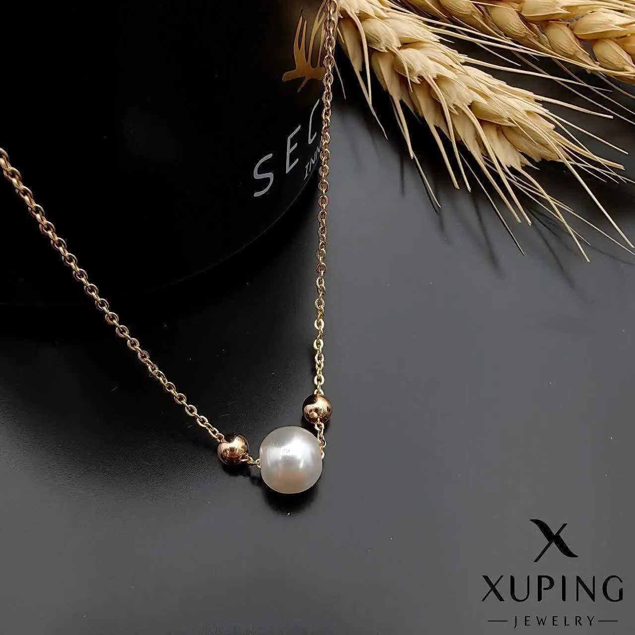 #پلاک و زنجیر ژوپینگ کد ۱۷۲۹
