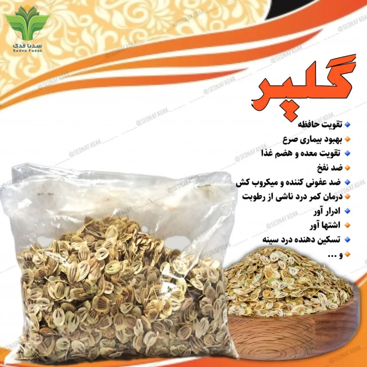 #مفردات_گیاهی
