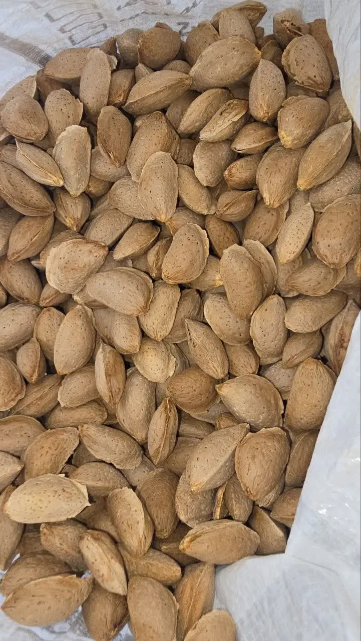 فروش ویژه بادام