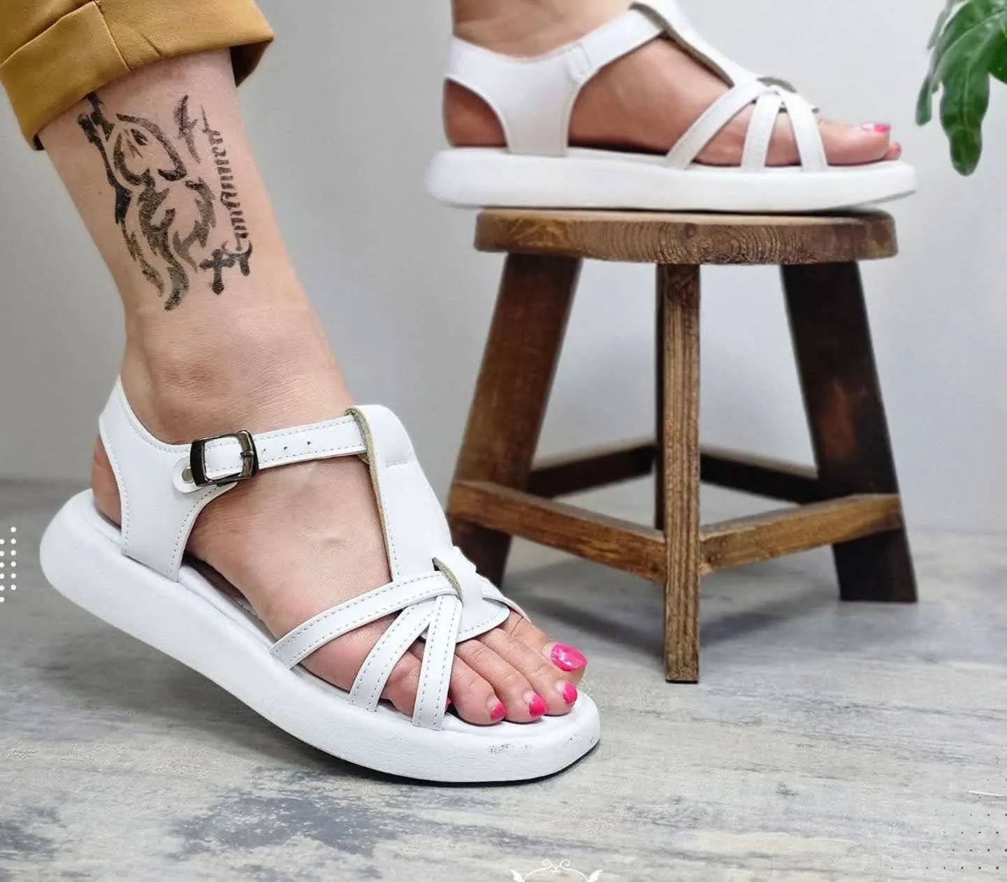 📌نام: صندل ضبدری
