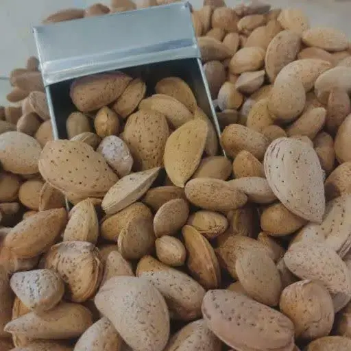 🥜 بادام سنگی اعلاء😍

