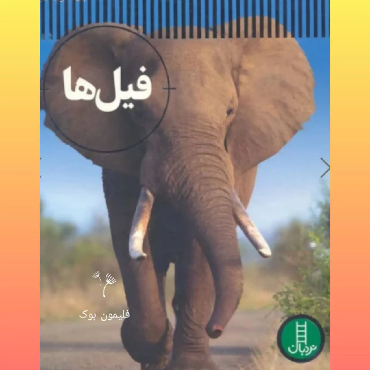 🧚‍♀ فیل‌ها
