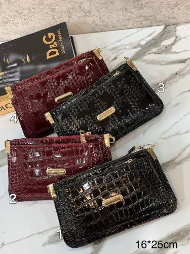 پاسپورتی ورنی
